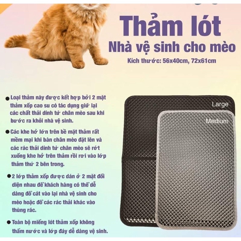 Thảm hứng cát mèo