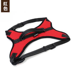 Dây Dắt Chó Husky Chuyên Dụng