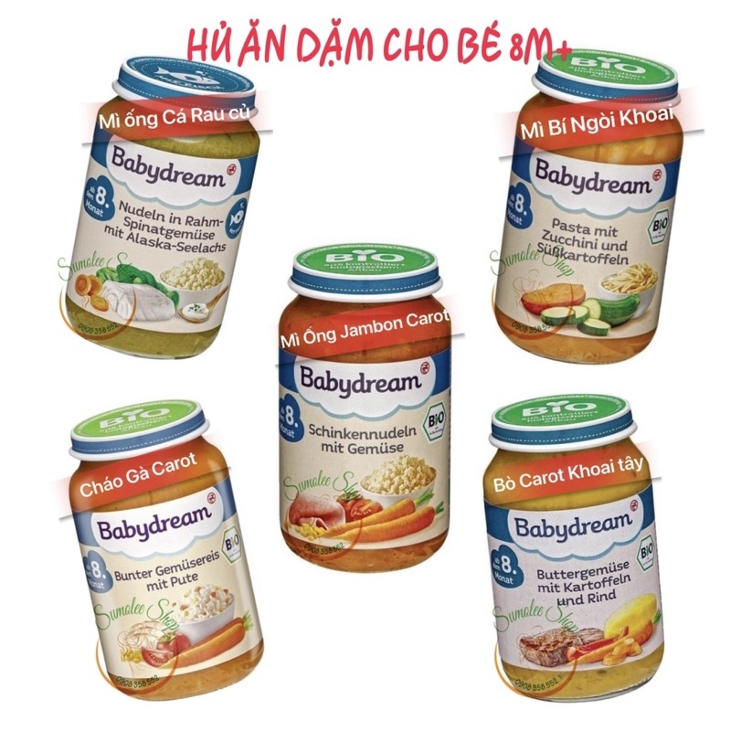 HỦ ĂN DẶM MẶN HỮU CƠ BABYDREAM CHO BÉ 8M
