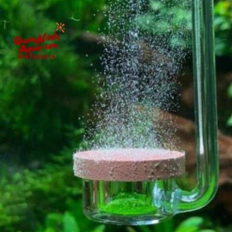 SALE Cốc Sủi CO2 Siêu Mịn AQUARIO NEO CO2 DIFFUSER - Normal Special