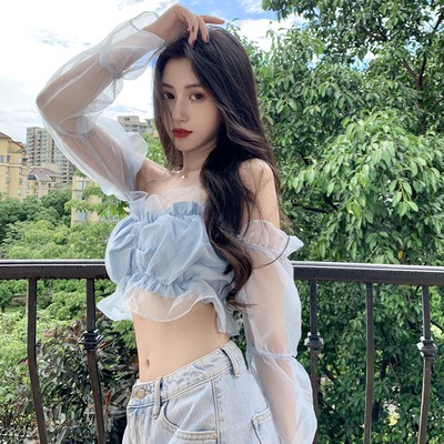 Áo Croptop Tay Phồng Phối Lưới Xinh Xắn Dành Cho Nữ