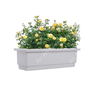 ⚡Ship Hỏa Tốc⚡ Khay Chậu Trồng Rau Trồng Hoa Chữ Nhật 48x20x16cm [Loại Tốt] - An An Saigon