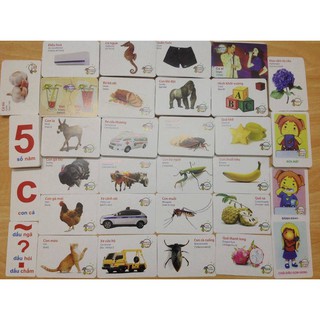 Bộ thẻ học flash card 16 chủ đề song ngữ anh việt