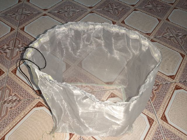 TÚI ĐỰNG CÔN TRÙNG