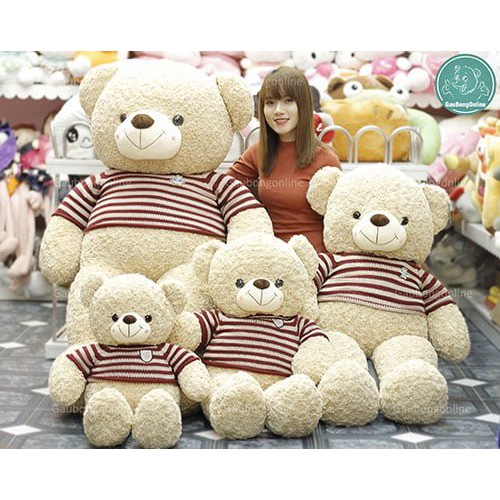 Gấu Teddy Logo Baby 80cm