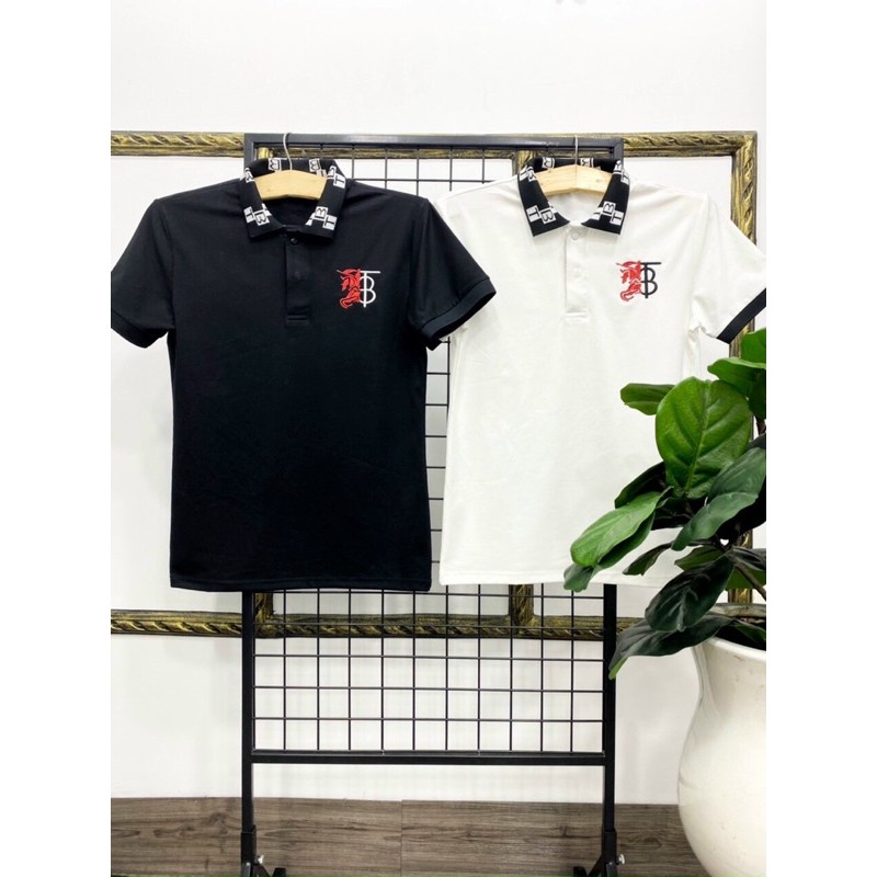Áo thun cổ trụ cao cấp thêu logo nổi bật(chất thun cotton 100%) | BigBuy360 - bigbuy360.vn