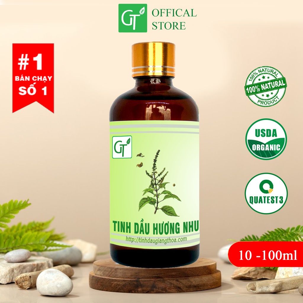 Tinh Dầu Hương Nhu GT 100ml  Nguyên Chất - Chăm Sóc Tóc, Giảm Rụng Tóc -