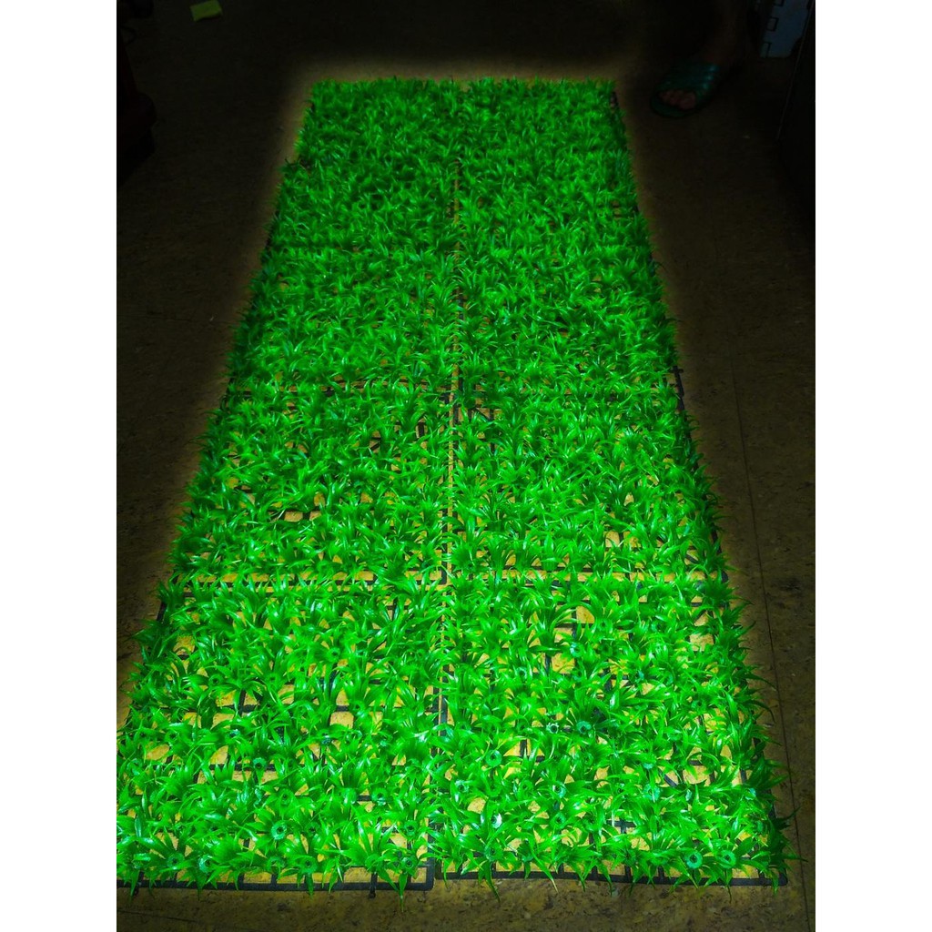 Bộ Trang Trí 2 Tấm Thảm Cỏ Thìa Bằng Nhựa Cho Bể Cá Thủy Sinh