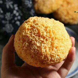 Ngân Nhĩ (Tuyết Nhĩ)