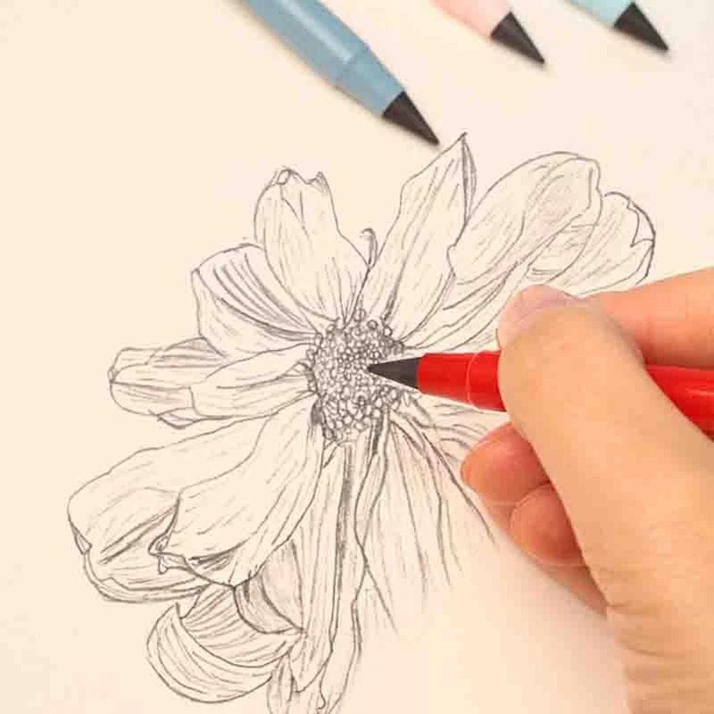 Bút Chì Bấm Thay Thế Ngòi Chì HB Chống Mòn Có Thể Xóa Được Cho Trường Học / Văn Phòng