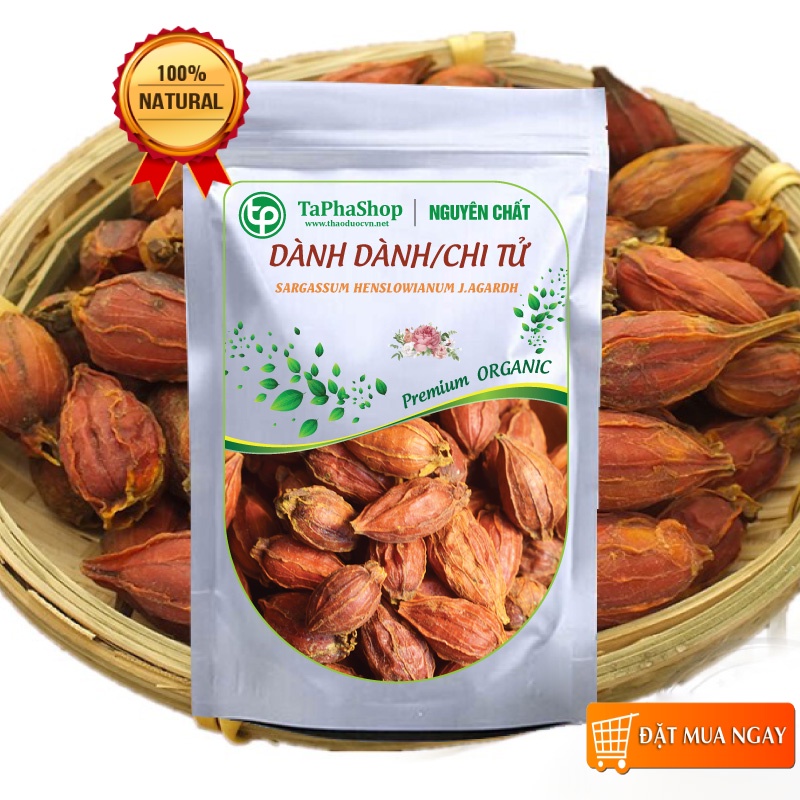 Quả dành dành khô - Tấn Phát