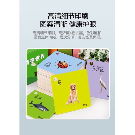 Thẻ Tiếng Trung Thẻ Động Vật Flash Card Tiếng Trung Cho Bé