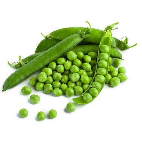 10gr - HẠT GIỐNG ĐẬU HÀ LAN