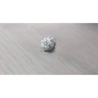 San hô đất sét trang trí keycap resin