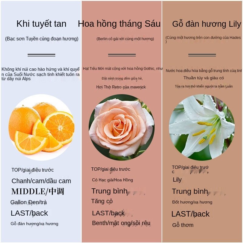 Kem dưỡng da tay Roopy Pháp giữ ẩm, làm mềm da và không nhờn