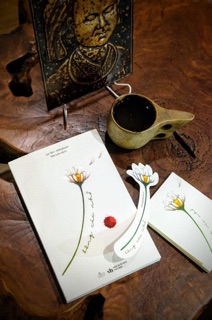 Bông Cúc Nhỏ