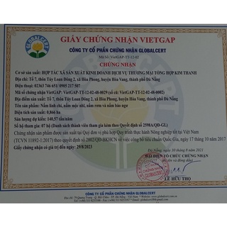 Nấm bào ngư