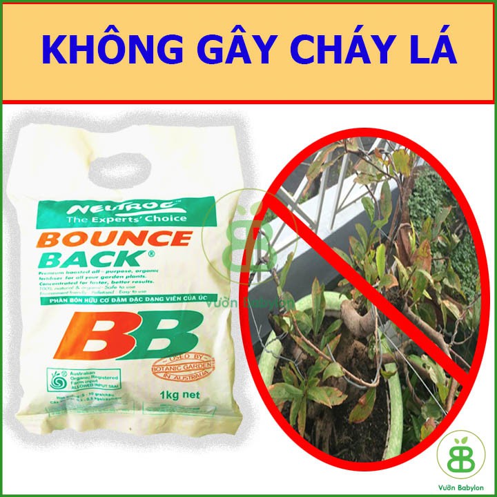 Phân Hữu Cơ Đậm Đặc Dạng Viên Bounce Back 1KG