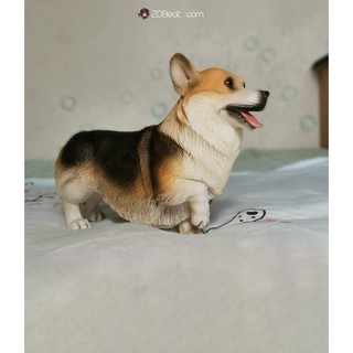 [Có Sẵn] Mô hình cún Corgi