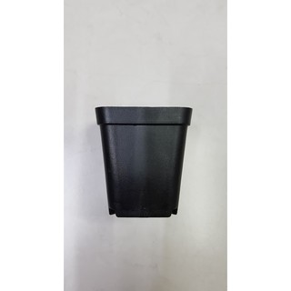 Chậu vuông 5x5 đen (Set 10 cái)