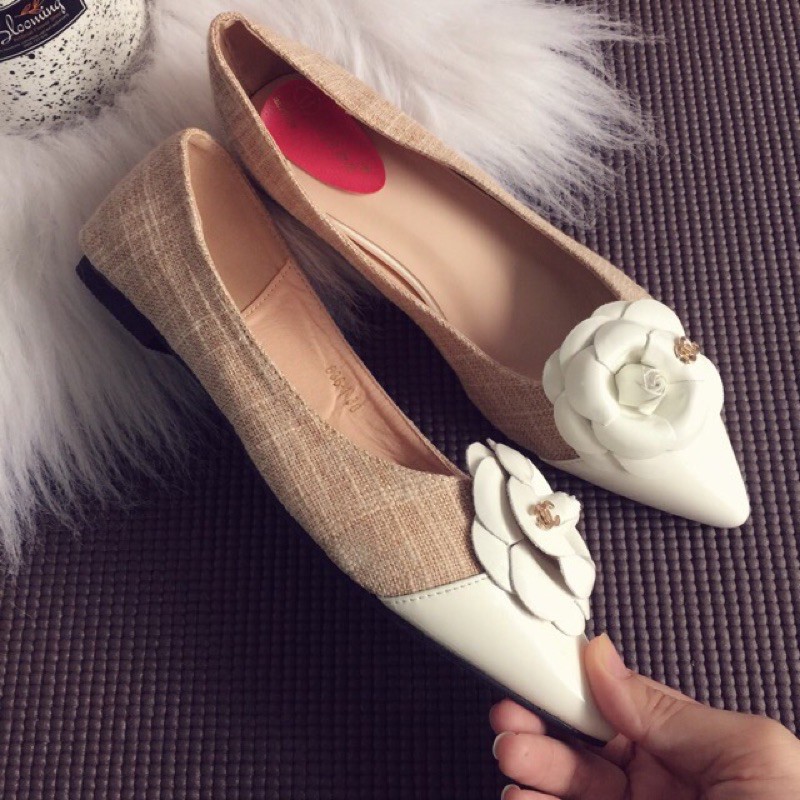 SALE OFF BÚP BÊ MŨI NHỌN HOA TRÀ