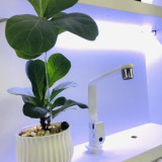 Vòi rửa chén âm chậu WATERTEC trắng WT007F