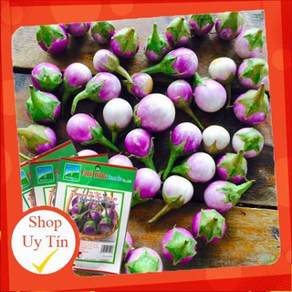 - Hạt Giống Cà Pháo Tím Phú Nông chất lượng.