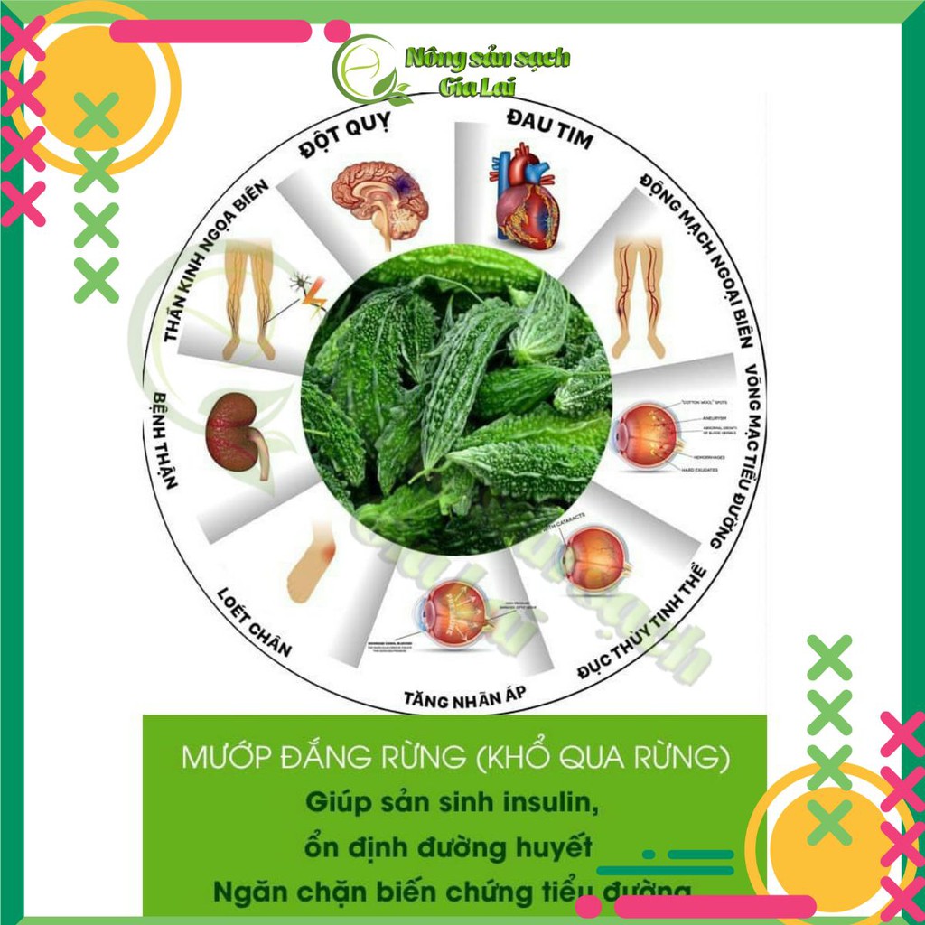 Cây khổ qua rừng (mướp đắng rừng), sản phẩm rất tốt cho sức khỏe