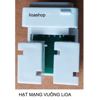 HẠT THÔNG TIN VUÔNG LiOA.
