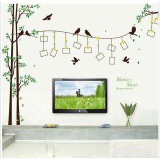 Decal dán tường Cây khung ảnh to nhất