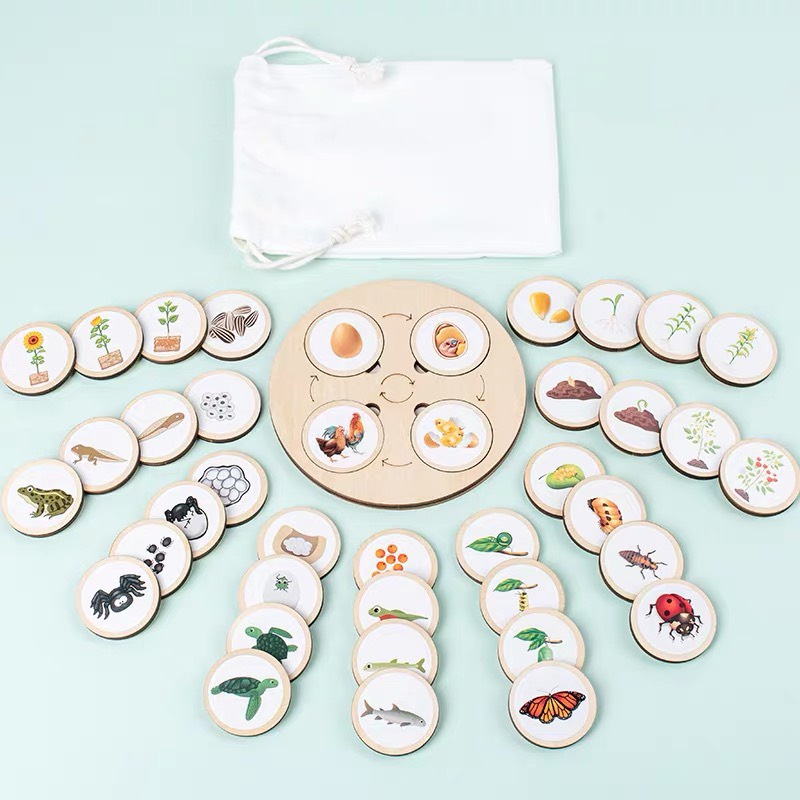 Bộ Thẻ Xếp Hình Vòng Đời Của Động Vật Theo Phương Pháp Montessori