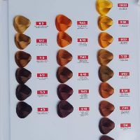 Nhuộm Osakak 60 Màu