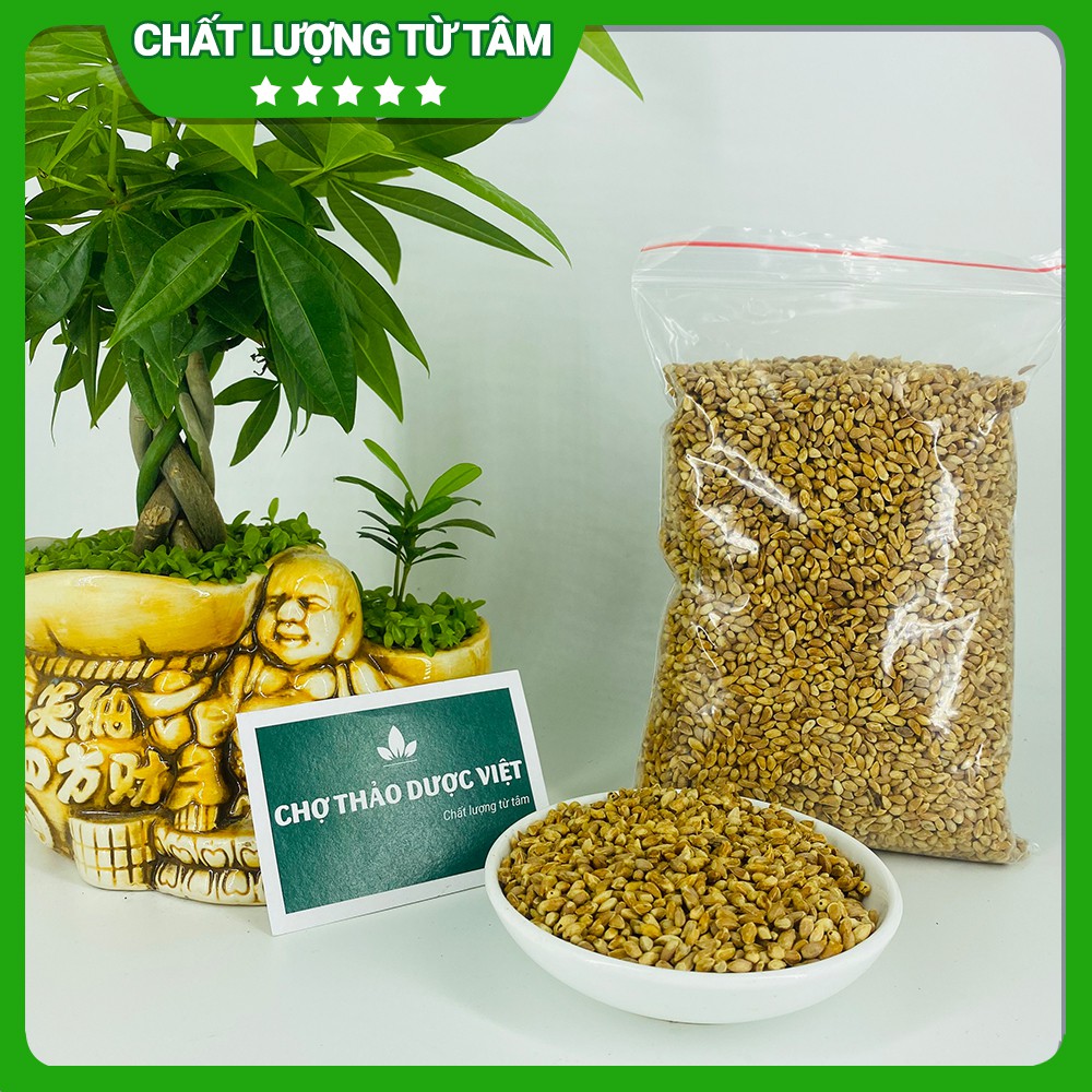 100gr Bá Tử Nhân  - Trắc Bách Diệp