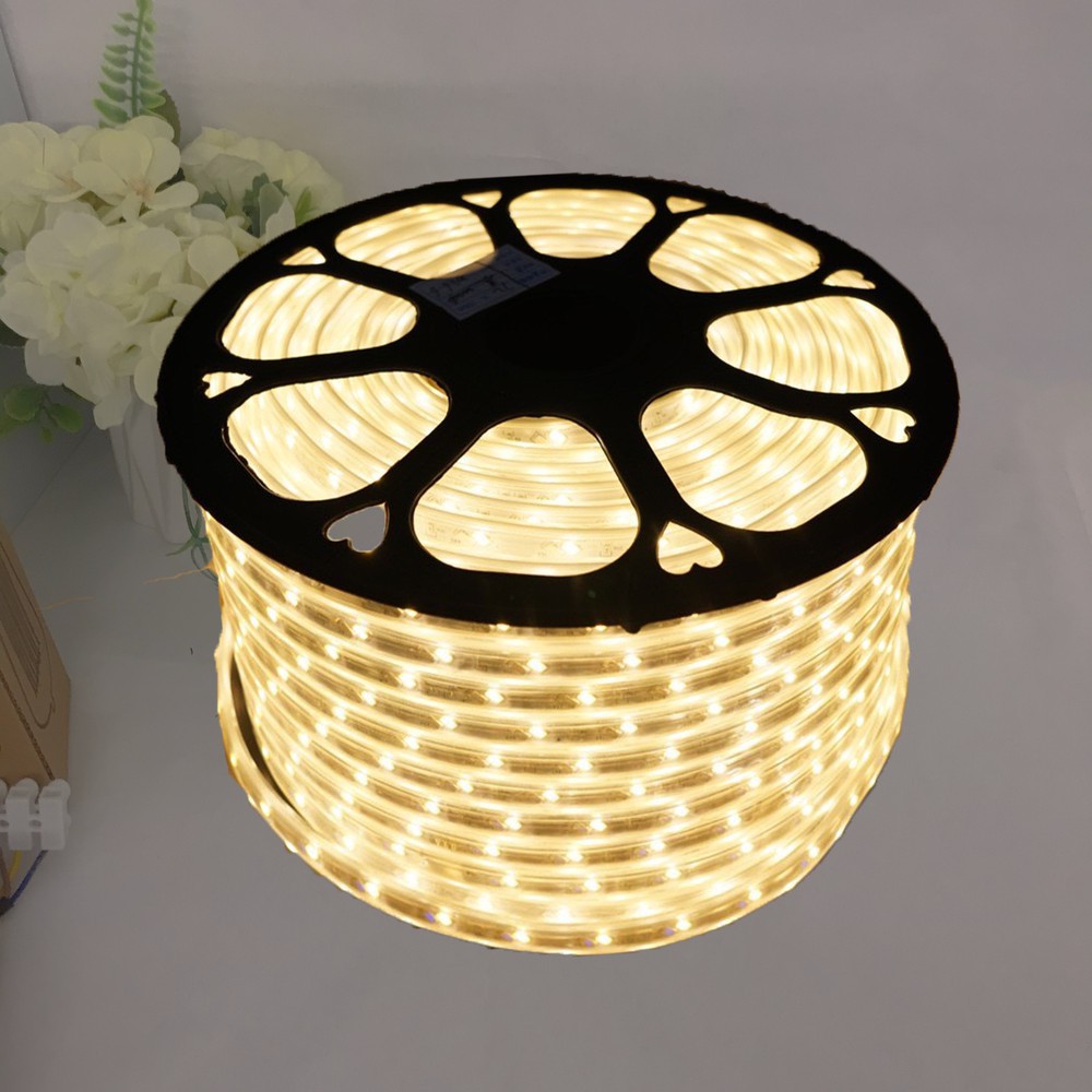 Đèn LED Dây 2 hàng 2835 trang trí TẾT, cuốn cây, hắt trần Siêu Đẹp, Siêu Bền  ( bán theo mét )