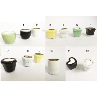 Chậu sứ mini trồng sen đá, làm handmade, hoa pha lê, hoa đất sét (KT 3cm)