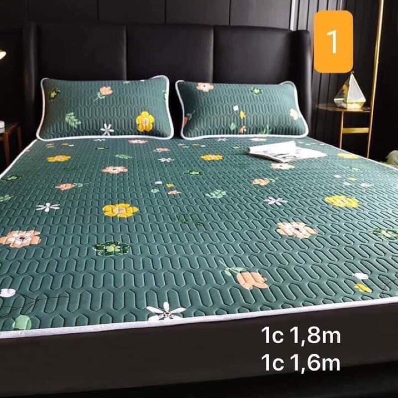 combo bộ ga giường
