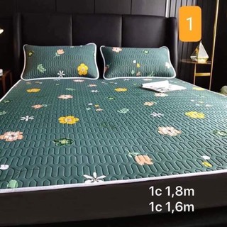 combo bộ ga giường