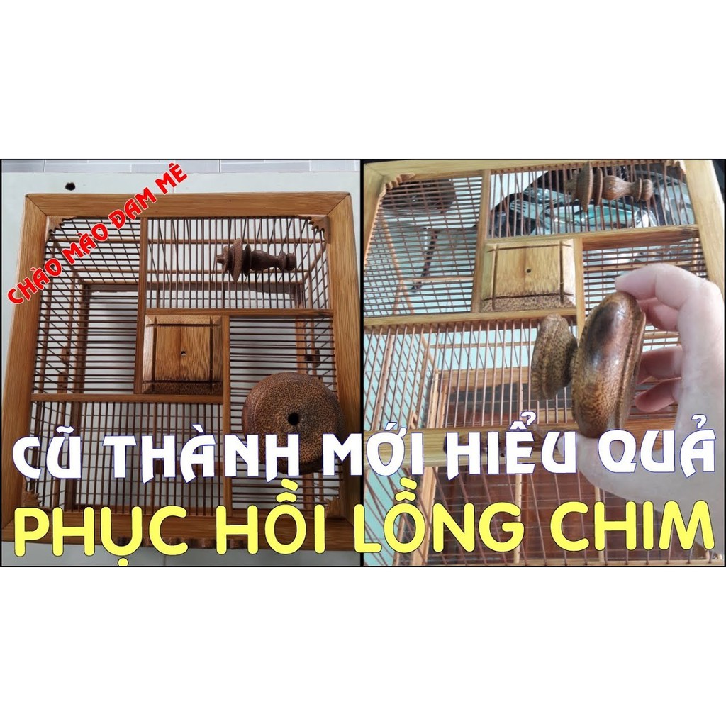 Đánh Bóng, Tẩy Mốc Lồng Chim 150ml