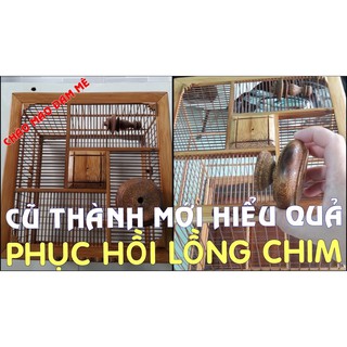 Đánh Bóng, Tẩy Mốc Lồng Chim 150ml