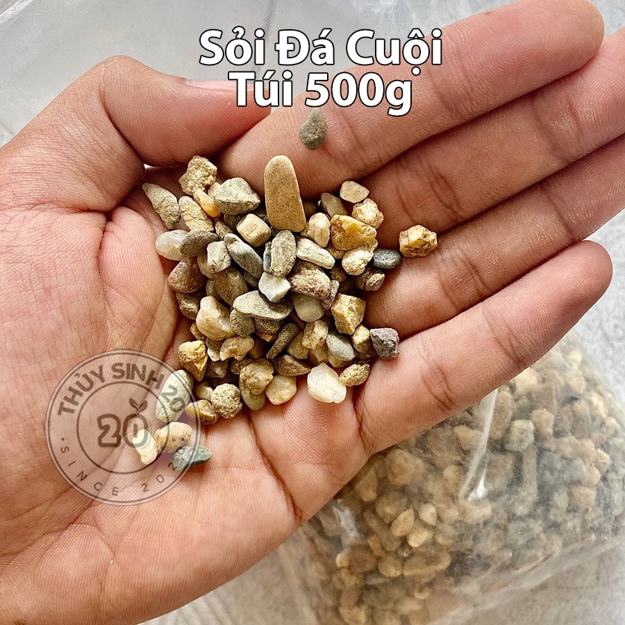 500g sạn suối, sỏi đá cuội mini trải nền và trang trí bể thủy sinh