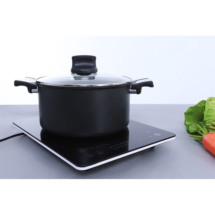 Nồi canh chống dính đáy từ Tefal Expertise C6207172 26cm hai quai có nắp