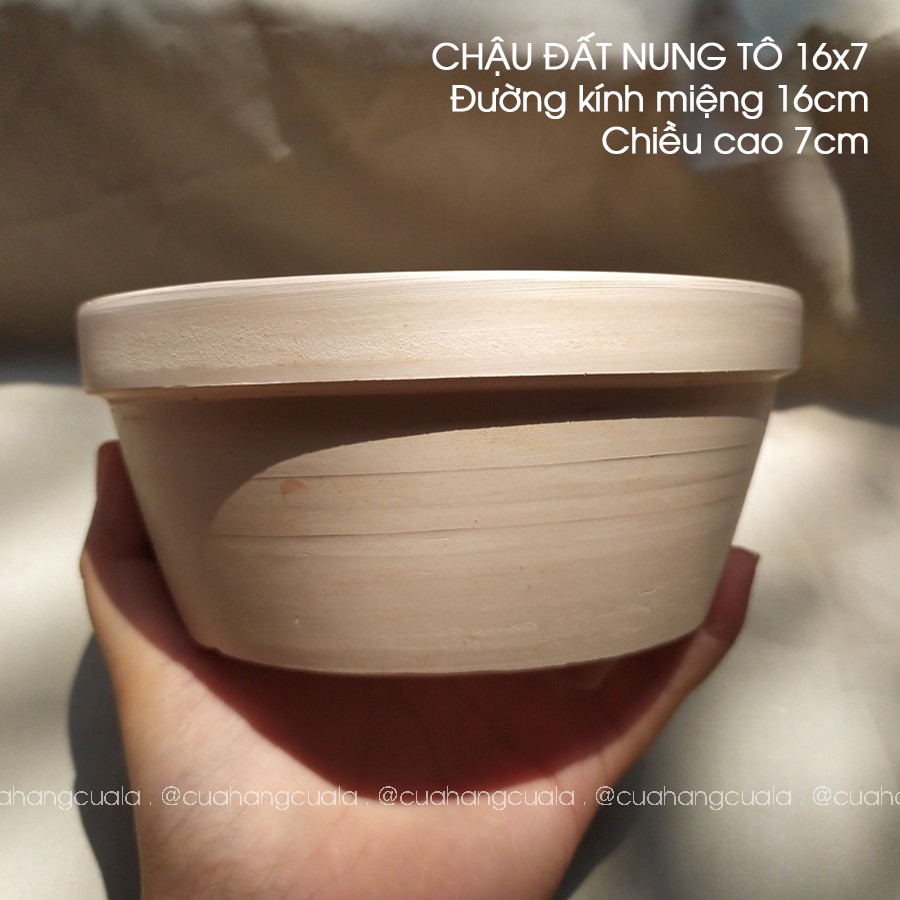 Chậu Đất Nung Trồng Cây TÔ 16x7 Chậu Cây, Chậu Trồng Cây, Cây Cảnh, Sen Đá, Hoa Hồng (Ảnh Thật)