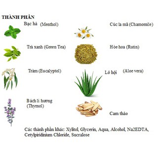 Xịt Thơm Miệng Thảo Dược Greelux 12ml
