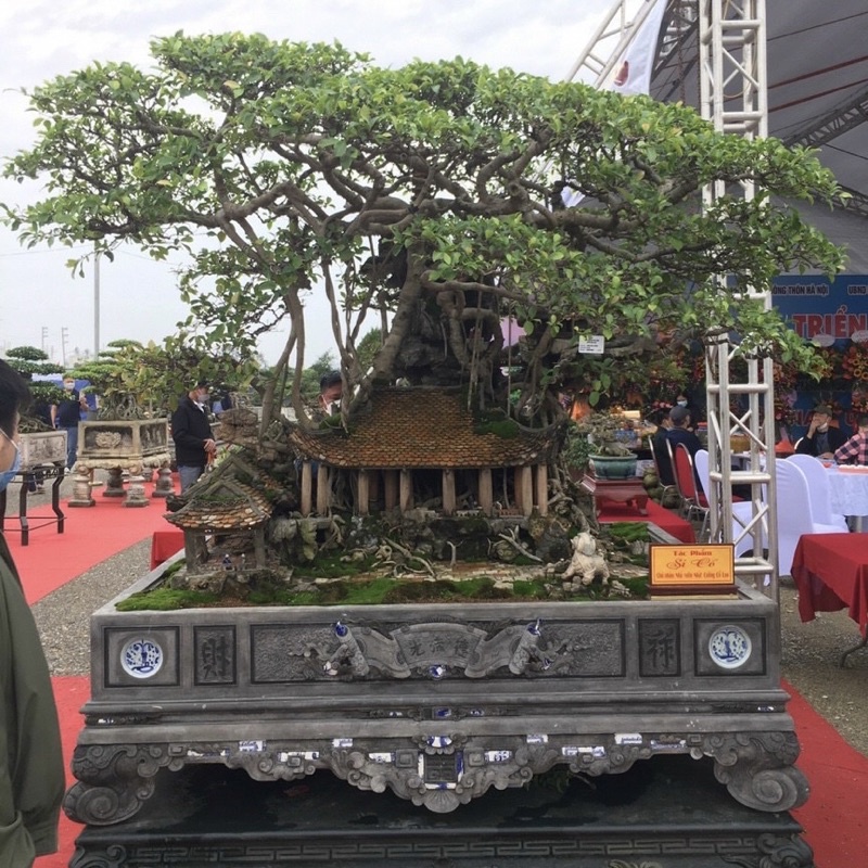 Giá thể PROMIX -Bonsai bao 14 lít