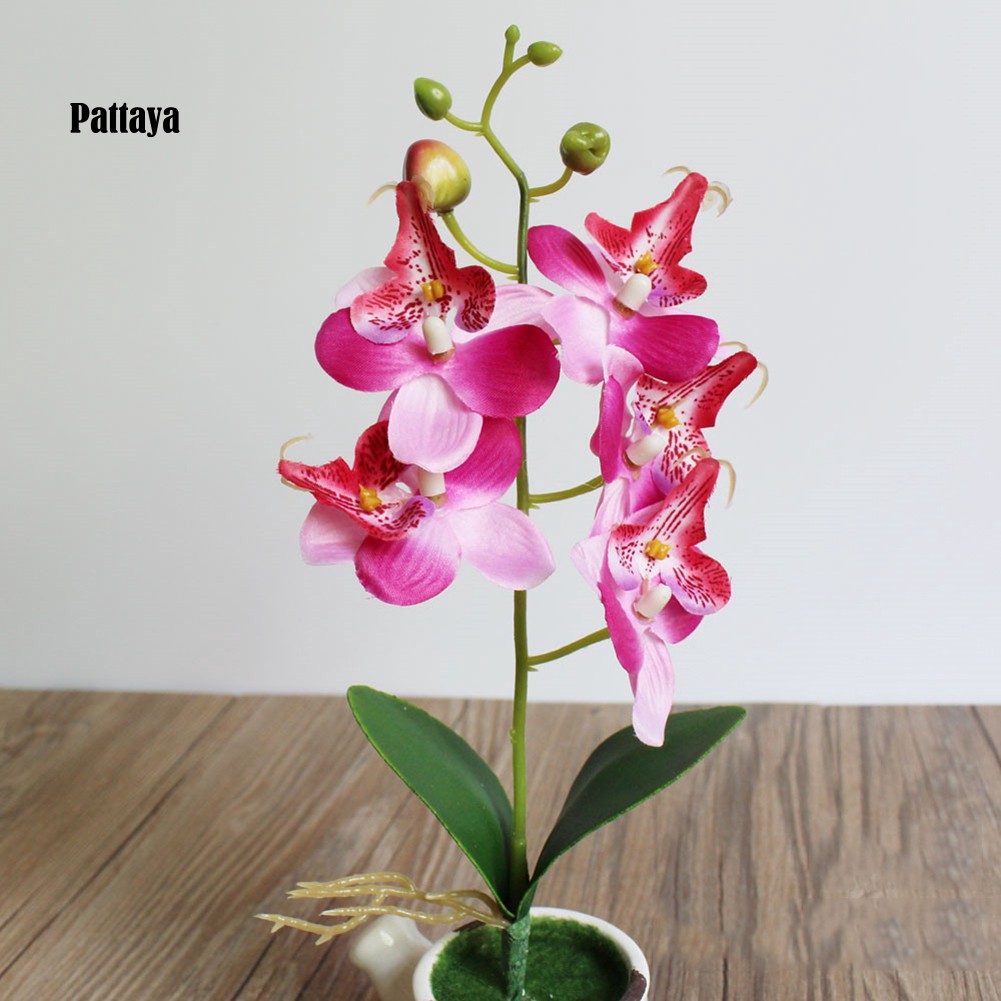 1 Cành Hoa Lan Giả Bằng Nhựa Dùng Trang Trí