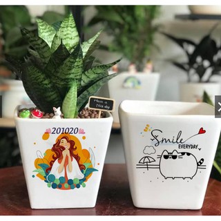 Chậu trồng cây gốm sứ men mát Bát Tràng loại để bàn- Mẫu vuông vát 12cm