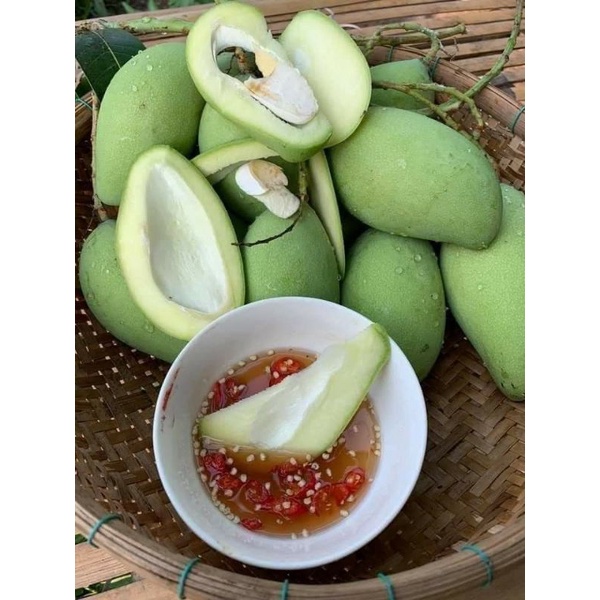 Chế phẩm Pseudomonas phòng trừ nấm bệnh hộp 1kg