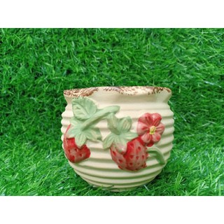 Chậu sen đá size 8cm