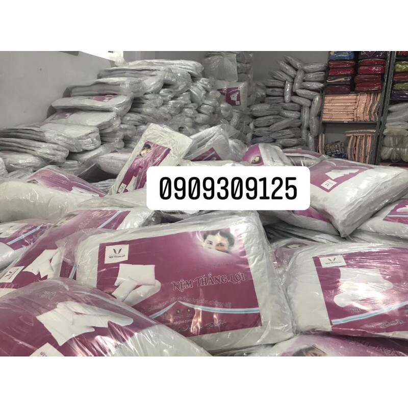 Gối gòn ép hơi CTY Nệm Thắng Lợi  cao cấp đủ size