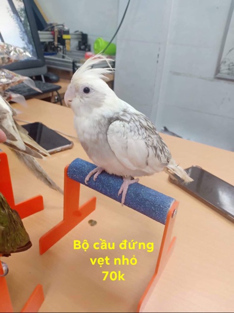 Bộ cầu đứng để bàn có mài móng